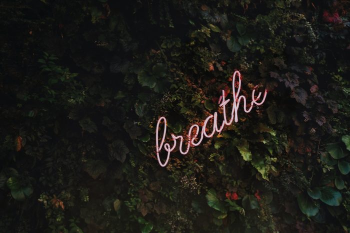 mindfulness meditation of the breath 